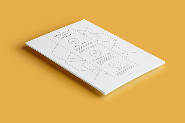 cahier avec des graphiques
